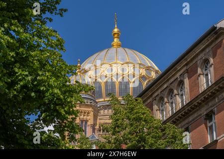 Die Kuppel der 1859 bis 1866 erbauten Neuen Synagoge in der Oranienburger Straße in Berlin-Mitte. DAS heutige Baudenkmal stammt von den Architekten Eduard Knoblauch und Friedrich August Stüler. DAS als Centrum Judaicum bekannte Gebäudeensemble wird heute als Kulturzentrum genutzt. *** Le dôme de la Nouvelle synagogue à Oranienburger Straße à Berlin Mitte, construit entre 1859 et 1866 le monument actuel a été conçu par les architectes Eduard Knoblauch et Friedrich August Stüler L'ensemble de construction connu sous le nom de Centrum Judaicum est maintenant utilisé comme centre culturel Banque D'Images