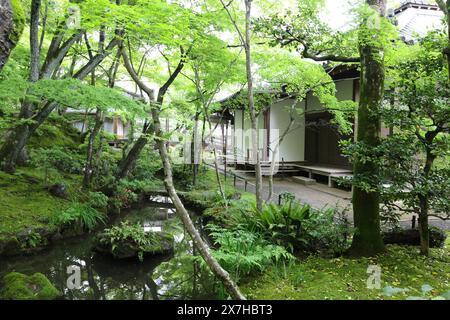 Vert frais dans le temple Jojakko-ji à Kyoto, Japon Banque D'Images