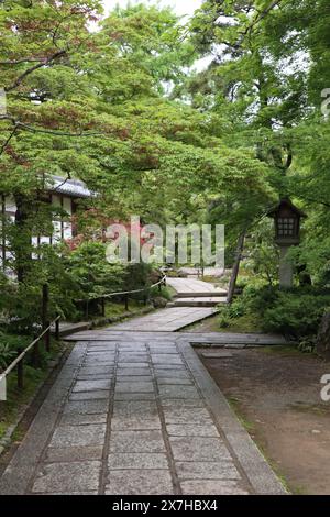 Vert frais dans le temple Jojakko-ji à Kyoto, Japon Banque D'Images