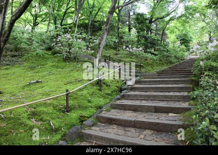 Vert frais dans le temple Jojakko-ji à Kyoto, Japon Banque D'Images