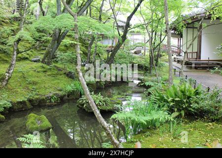 Vert frais dans le temple Jojakko-ji à Kyoto, Japon Banque D'Images