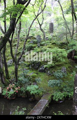 Vert frais dans le temple Jojakko-ji à Kyoto, Japon Banque D'Images