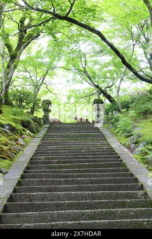 Vert frais dans le temple Jojakko-ji à Kyoto, Japon Banque D'Images