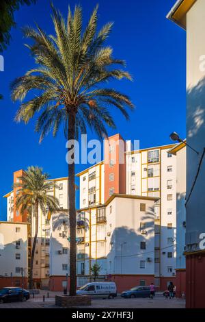 Les logements publics des années 1950 se trouvent dans El Tardón de Triana, un témoignage de l’histoire urbaine de Séville. Banque D'Images