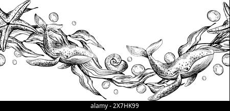 Baleines bleues, algues en forme de vague avec étoiles de mer et bulles d'eau. Illustration graphique dessinée à la main à l'encre noire. Vecteur EPS de bordure de modèle sans couture. Illustration de Vecteur