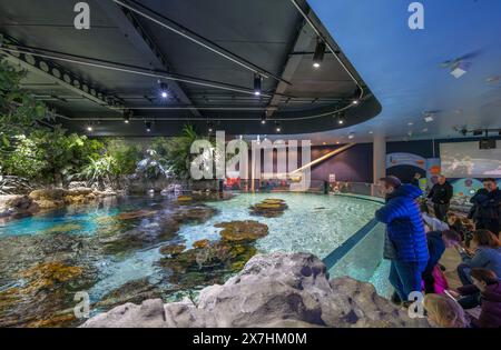 Intérieur de l'aquarium profond, Kingston upon Hull, Yorkshire, Angleterre, Royaume-Uni Banque D'Images