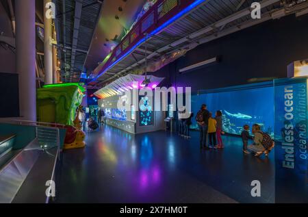 Intérieur de l'aquarium profond, Kingston upon Hull, Yorkshire, Angleterre, Royaume-Uni Banque D'Images