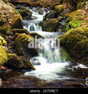 Un résumé de l'eau en cascade douce entre Tarn Hows et Tom Gill, dans le Lake District, au Royaume-Uni Banque D'Images