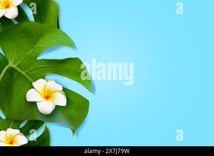 Concept de conception de fond d'été. Vue de dessus de la plage de voyage de vacances avec plumeria de fleurs et feuilles de monstera sur fond bleu. Banque D'Images