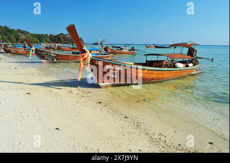 La magnifique baie de Tonsai a des eaux turquoises et est une ruche d'activité nautique. Les ferries vont et viennent, les yachts mouillent, les bateaux de plongée et d'excursion font des allers et retours transportant des passagers ou des marchandises. La baie est longue de près de 2 km des points extérieurs, avec de hautes falaises cédant la place à de petites plages habitées par des singes et avec des récifs coralliens bordant le côté ouest. Le côté est de la baie est moins profond, avec de grandes zones de corail et une série de plages et d'hôtels occupant le rivage. À l'embouchure de la baie, sur le côté est, se trouvent long Beach et Shark point, qui font face à Phi Phi Leh. Thaïlande. Banque D'Images