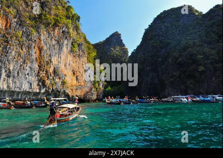 La magnifique baie de Tonsai a des eaux turquoises et est une ruche d'activité nautique. Les ferries vont et viennent, les yachts mouillent, les bateaux de plongée et d'excursion font des allers et retours transportant des passagers ou des marchandises. La baie est longue de près de 2 km des points extérieurs, avec de hautes falaises cédant la place à de petites plages habitées par des singes et avec des récifs coralliens bordant le côté ouest. Le côté est de la baie est moins profond, avec de grandes zones de corail et une série de plages et d'hôtels occupant le rivage. À l'embouchure de la baie, sur le côté est, se trouvent long Beach et Shark point, qui font face à Phi Phi Leh. Thaïlande. Banque D'Images