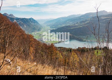 Arbres arides et feuillage d'automne dans les contreforts au-dessus du lac Walen et le canton de Walenstadt, Suisse Banque D'Images