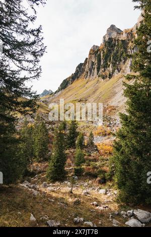 Un sentier rocheux serpente à travers une vallée forestière luxuriante sous les sommets imposants de Churfirsten, en Suisse Banque D'Images