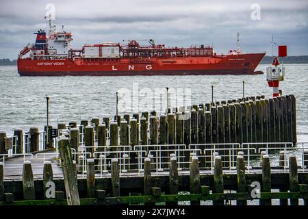 DAS LNG Tankschiff Coral Furcata, in der Westerschelde, Hat den Hafen von Antwerpen verlassen und fährt Richtung UK, Pier am Hafen von Vlissingen, Zeeland, Niederlande LNG Tanker *** le méthanier Coral Furcata, dans la Westerschelde, a quitté le port d'Anvers et se dirige vers le Royaume-Uni, jetée au port de Vlissingen, Zélande, pays-Bas méthanier Banque D'Images