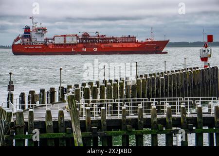 DAS LNG Tankschiff Coral Furcata, in der Westerschelde, Hat den Hafen von Antwerpen verlassen und fährt Richtung UK, Pier am Hafen von Vlissingen, Zeeland, Niederlande LNG Tanker *** le méthanier Coral Furcata, dans la Westerschelde, a quitté le port d'Anvers et se dirige vers le Royaume-Uni, jetée au port de Vlissingen, Zélande, pays-Bas méthanier Banque D'Images