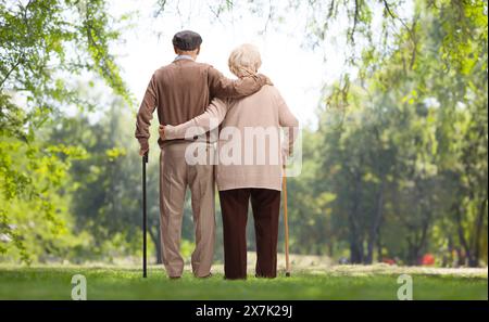 Vue arrière d'un homme et d'une femme aînés en étreinte dans un parc Banque D'Images