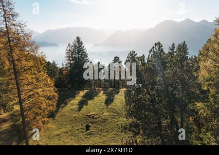 Une vue depuis une colline herbeuse avec des arbres au premier plan, regardant vers une vallée remplie de brouillard et de montagnes lointaines et brumeuses. Banque D'Images