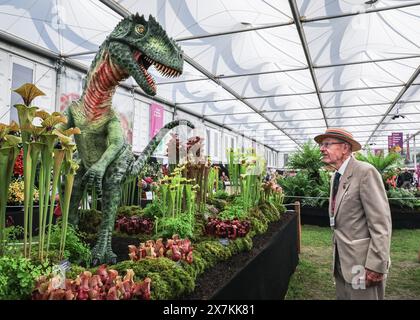 Londres, Royaume-Uni. 20 mai 2024. Un visiteur lors de la journée de presse du Chelsea Flower Show regarde une exposition de plantes décorées d'un dinosaure T-Rex au stand des plantes carnivores du Hampshire à l'intérieur du Grand Pavillon. Crédit : Imageplotter/Alamy Live News Banque D'Images