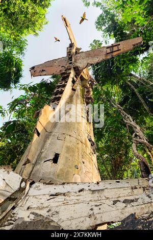 L'épave d'un avion qui s'est écrasé dans une jungle tropicale Banque D'Images