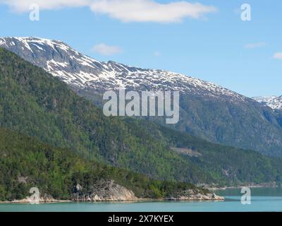 Montagnes enneigées et forêts verdoyantes à côté d'un lac calme sous un ciel bleu, une eau chatoyante verdâtre dans un fjord avec des montagnes enneigées et verdoyantes Banque D'Images