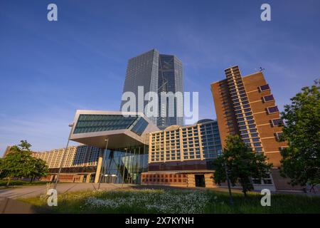 Die Europäische Zentralbank EZB in Frankfurt am main Die von der sonne angestrahlte Fassade der Europäischen Zentralbank EZB leuchtet in orangenem Licht. Francfort-sur-le-main Hessen Deutschland *** la Banque centrale européenne BCE à Francfort-sur-le-main la façade de la Banque centrale européenne BCE illuminée par le soleil brille en orange Francfort-sur-le-main Hesse Allemagne 2024-05-20 FFM ezb 01 Banque D'Images