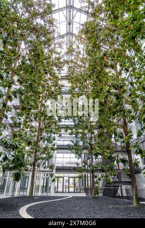 Immeuble de bureaux moderne avec un haut toit en verre et de grands arbres verts à l'intérieur, Boeblingen, Allemagne Banque D'Images