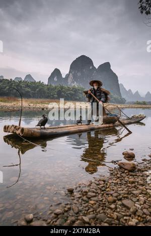 20 JANVIER 2022, GUILIN, CHINE : pêcheur cormoran et ses oiseaux sur la rivière Li à Yangshuo, Guangxi, Chine. Copier l'espace pour le texte Banque D'Images