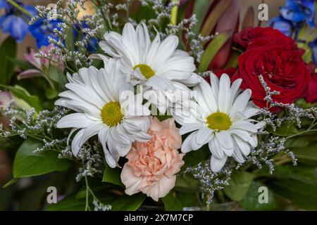 Gros plan de texture d'un arrangement de bouquet de fleuriste d'intérieur contenant des fleurs colorées, avec un fond défocalisé Banque D'Images