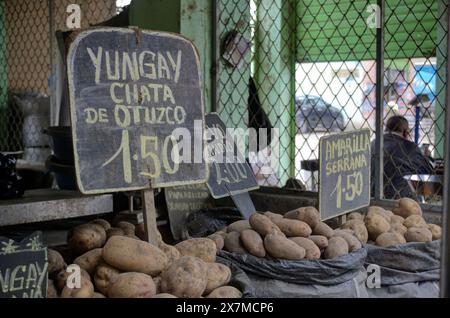 Chimbote, Pérou - 18 avril 2024 : différents types de pommes de terre à vendre sur le marché public Mercado dos de Mayo (marché du 2 mai) Banque D'Images