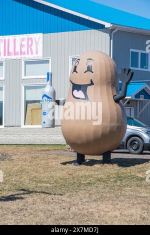 Mascotte de pommes de terre chez Blue Roof Distillers à Malden, Nouveau-Brunswick, Canada Banque D'Images