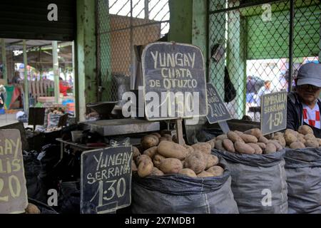 Chimbote, Pérou - 18 avril 2024 : différents types de pommes de terre à vendre sur le marché public Mercado dos de Mayo (marché du 2 mai) Banque D'Images