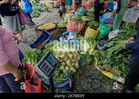 Chimbote, Pérou - 18 avril 2024 : divers légumes à vendre sur le marché public Mercado dos de Mayo (marché du 2 mai) Banque D'Images