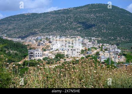 Haute Galilée, Israël paysage village de Sallama en arrière-plan photographié à la réserve naturelle du ruisseau Tzalmon, haute Galilée, Israël Sallama est un B. Banque D'Images