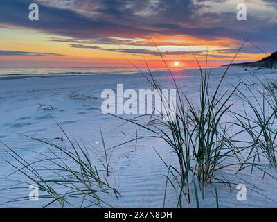 Lever de soleil sur la mer baltique avec l'herbe de Dune et plage de sable Banque D'Images