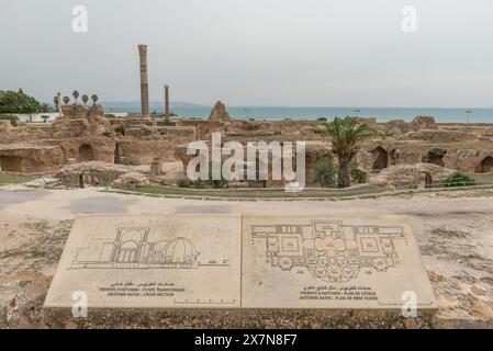 Carthage, Tunisie. 17 mai 2024. Les ruines archéologiques des Thermes d'Antonin, les thermes d'Antonin, le plus grand complexe thermal romain construit en Afrique, une partie de la ville phénicienne ruinée de Carthage, Tunis, Tunisie. (Photo de John Wreford/SOPA images/SIPA USA) crédit : SIPA USA/Alamy Live News Banque D'Images