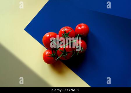 Tomates mûres en treillis sur la vigne avec blocage de couleur et ombre géométrique esthétique. Banque D'Images