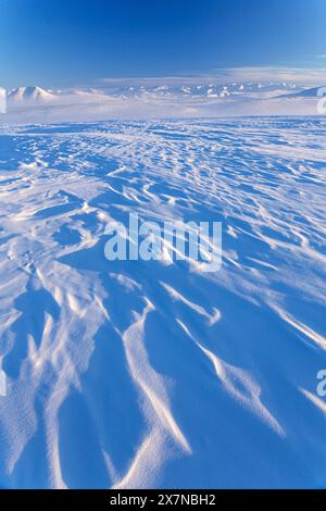 La neige dérive devant les montagnes, hiver, Arctique, Dalton Highway, Brooks Range, North Slope, Alaska, États-Unis Banque D'Images