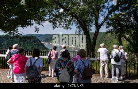 Loreley : Besuchergruppe auf dem Felsen. - Eine Besuchergruppe genießt den Blick vom Loreley-Felsen, der am Ufer des Rheins BEI : Goarshausen mehr al Banque D'Images