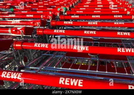 Rewe, Ableitung von Revisionsverband der Westkauf-Genossenschaften. Die REWE Markt GmbH mit Sitz in Köln ist mit rund 3600 Läden der zweitgrösste Lebensmitteleinzelhändler in Deutschland nach Edeka. Rewe ist die Stammmarke der Rewe Group. Foto : REWE Supermarkt, Einkaufswagen *** Rewe, dérivé de Revisionsverband der Westkauf Genossenschaften REWE Markt GmbH, basée à Cologne, est le deuxième plus grand détaillant alimentaire en Allemagne après Edeka avec environ 3600 magasins Rewe est la marque mère du supermarché Rewe Group photo Rewe, panier Banque D'Images