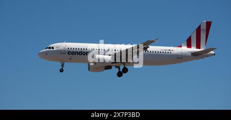 Tenerife, Espagne 4 mai 2024. Airbus A320-214 Condor Airlines vole dans le ciel bleu. Atterrissage à l'aéroport de Tenerife Banque D'Images