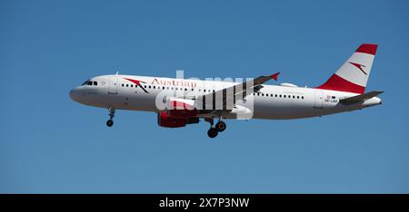 Tenerife, Espagne 4 mai 2024. Airbus A320-214 Austrian Airlines vole dans le ciel bleu. Atterrissage à l'aéroport de Tenerife Banque D'Images
