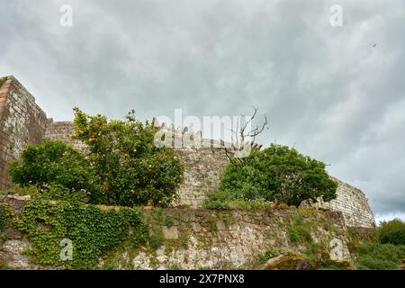 Mur extérieur du château Castro Laboreiro au Portugal par une journée nuageuse avec des arbres et une couleur verdâtre de la végétation. Vue de dessous Banque D'Images