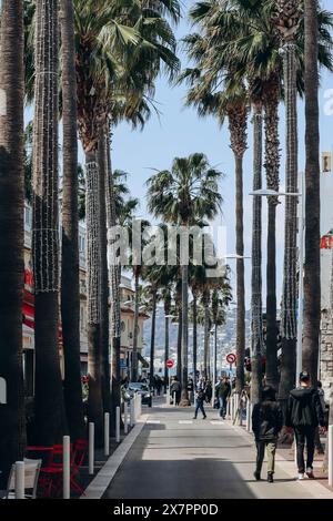 Juan-les-Pins, France - 20 mai 2023 : Rue avec palmiers à Juan les Pins, Côte d'Azur Banque D'Images