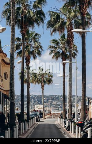 Juan-les-Pins, France - 20 mai 2023 : Rue avec palmiers à Juan les Pins, Côte d'Azur Banque D'Images