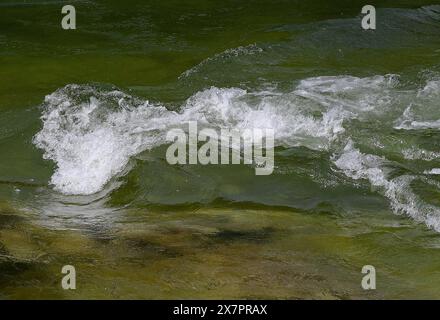 Besuch der historischen Ortschaft Lauffen, zwischen Bad Ischl und Bad Goisern, im oberösterreichischen Salzkammergut, AM 11.05.2024. DAS Bild zeigt Wasserwirbel im Fluss Traun 2024 - Besuch der historischen Ortschaft Lauffen, zwischen Bad Ischl und Bad Goisern, im oberösterreichischen Salzkammergut, AM 11.05.2024. *** Visite du village historique de Lauffen, entre Bad Ischl et Bad Goisern, dans le Salzkammergut de haute-Autriche, le 11 05 2024 L'image montre des tourbillons d'eau dans la rivière Traun 2024 visite du village historique de Lauffen, entre Bad Ischl et Bad Goisern, en haute-Autriche Banque D'Images