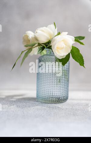 Une composition sereine avec des roses blanches disposées dans un vase en verre bleu texturé sur un fond gris texturé, mettant en valeur une aes fraîche et minimaliste Banque D'Images