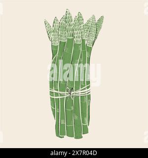 Illustration stylisée dessinée à la main de lances d'asperges fraîches attachées ensemble avec une ficelle, sur un fond neutre. Banque D'Images