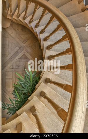 Vue aérienne d'un escalier en colimaçon en bois gracieusement incurvé, avec une riche finition en bois naturel et une plante verte vibrante, niché dans un élégant ho Banque D'Images