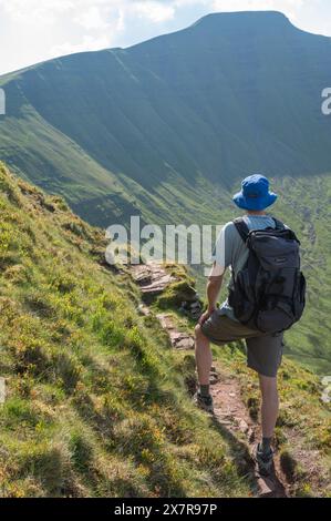 Homme marchant sur le sentier de Cribyn face, face nord-est de Pen y Fan Banque D'Images