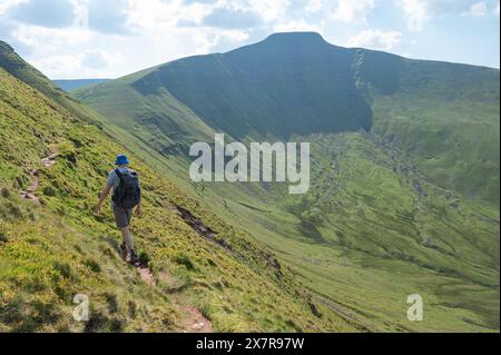 Homme marchant sur le sentier de Cribyn face, face nord-est de Pen y Fan Banque D'Images